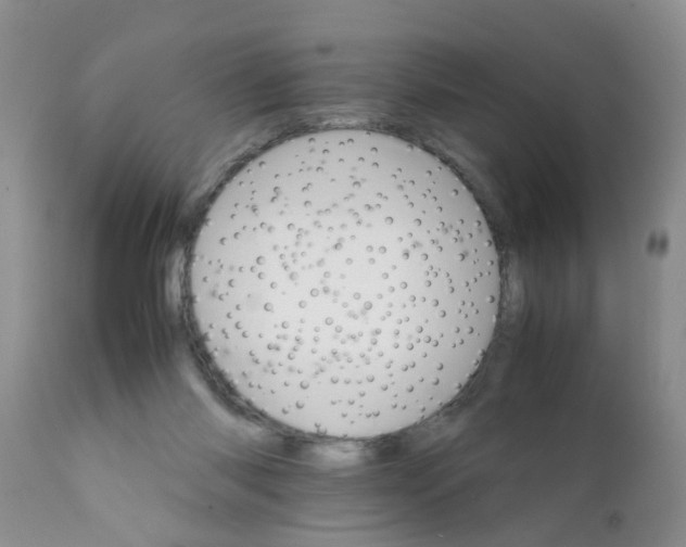 X0000111900118200908171248