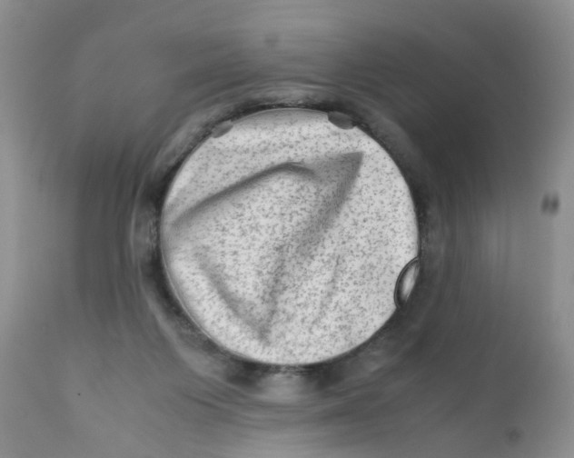 X0000111900119200908171248