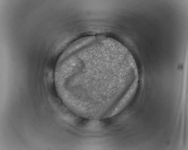 X0000111900123200908171247