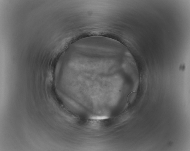 X0000111900127200908171247