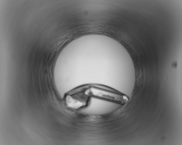 X0000111900128200908171247