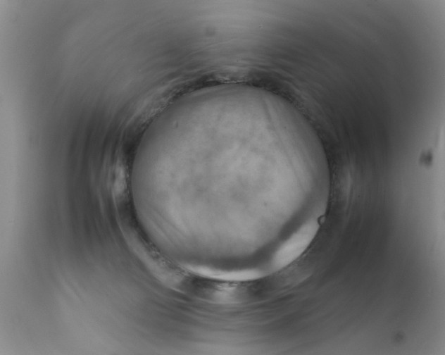 X0000111900130200908171247