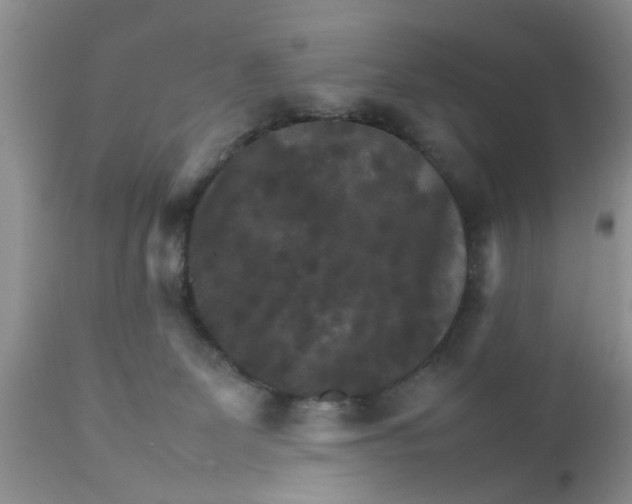 X0000111900131200908171247