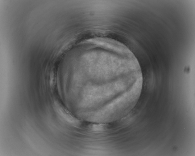 X0000111900134200908171247