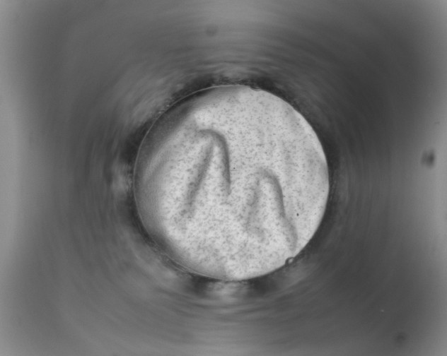 X0000111900135200908171247