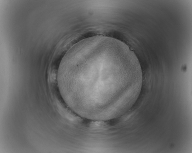 X0000111900137200908171247