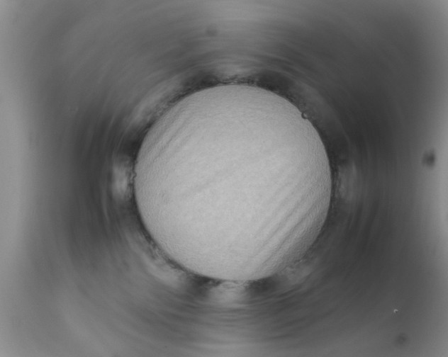 X0000111900138200908171247