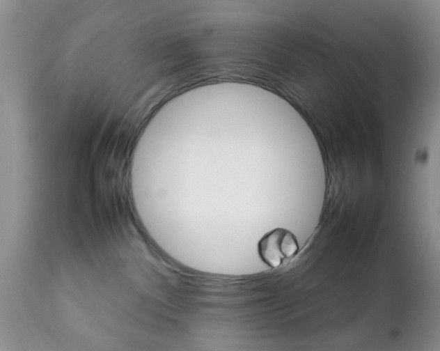 X0000111900140200908171247