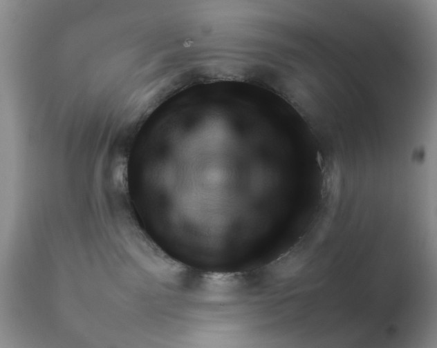 X0000111900141200908171247