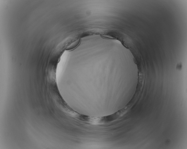 X0000111900143200908171247