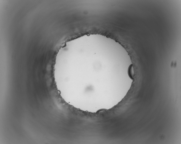 X0000111900144200908171247