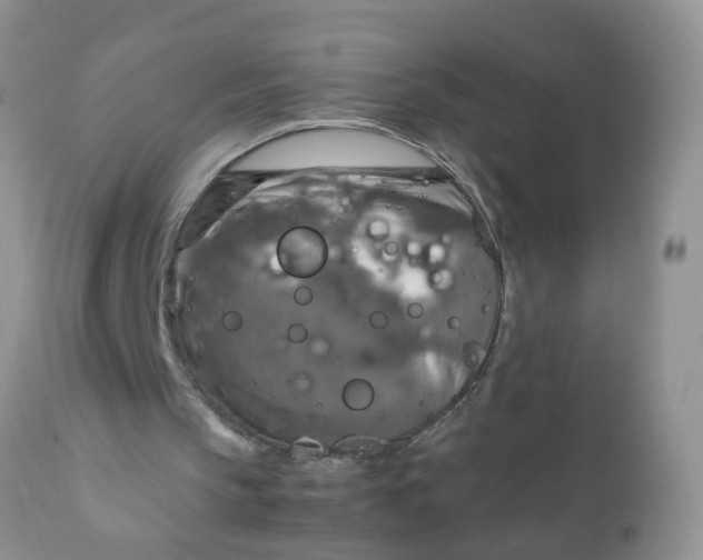 X0000111900145200908171246