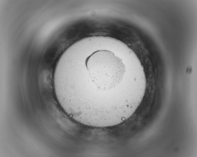 X0000111900146200908171246