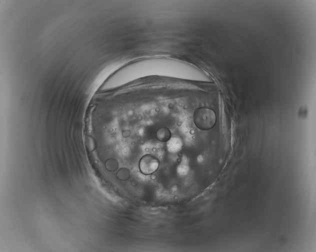 X0000111900147200908171246