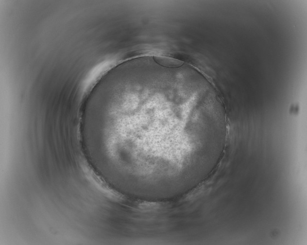 X0000111900149200908171247