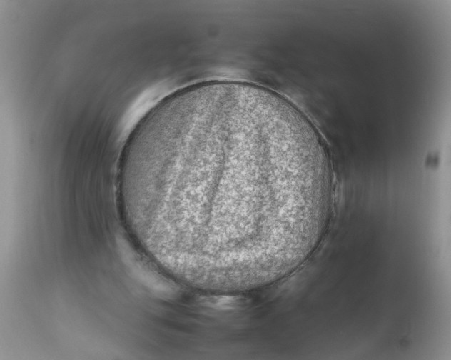 X0000111900151200908171247