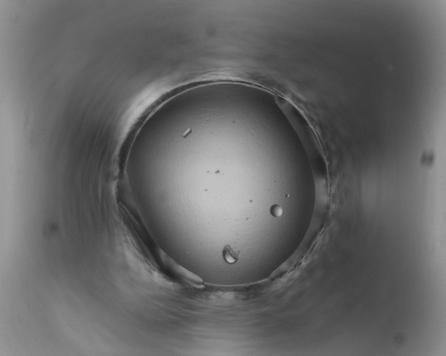 X0000111900152200908171247