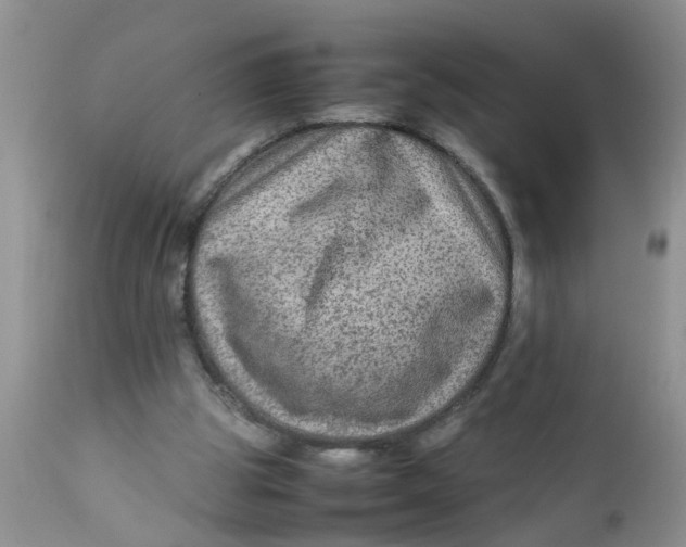 X0000111900153200908171247