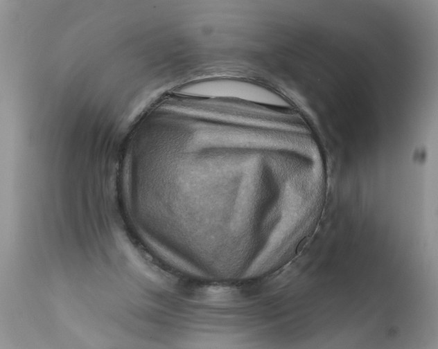 X0000111900154200908171247