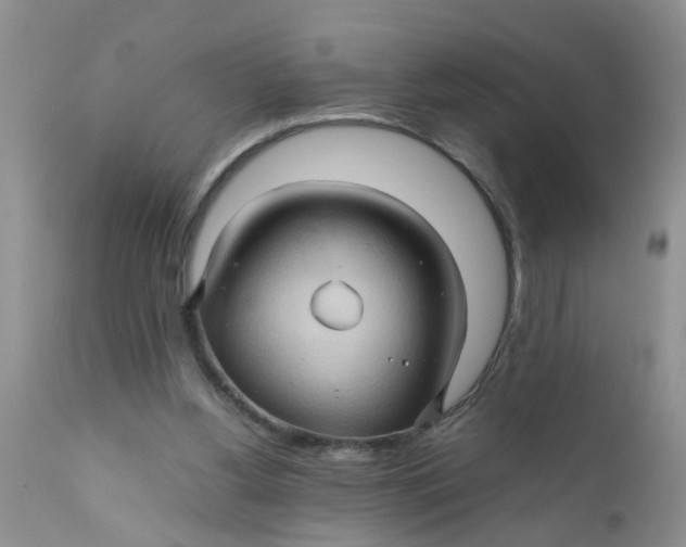 X0000111900156200908171247