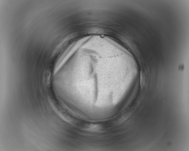 X0000111900157200908171247