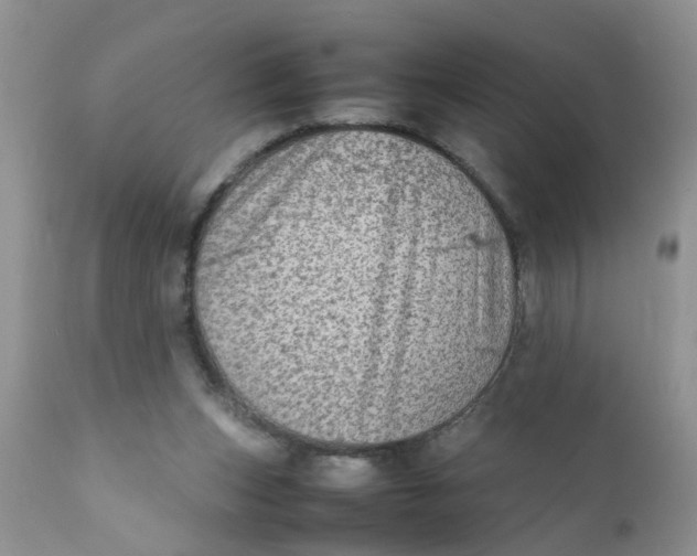 X0000111900159200908171247