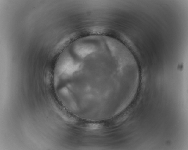 X0000111900161200908171247