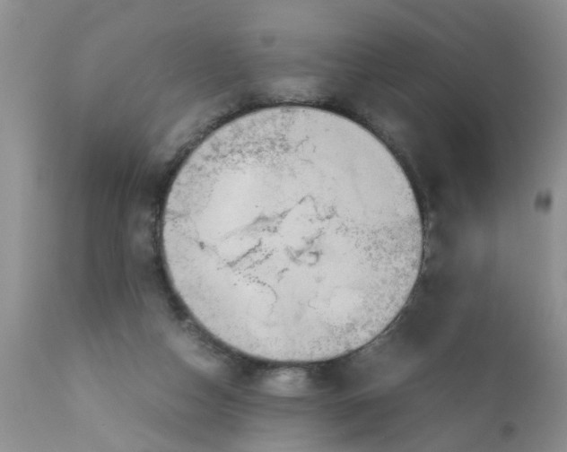 X0000111900162200908171247