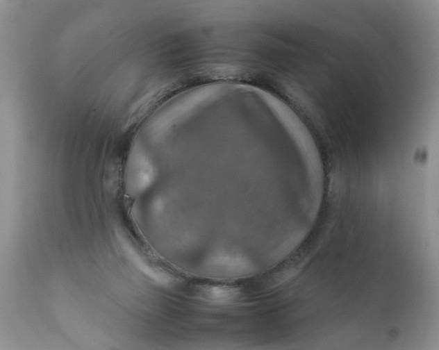 X0000111900165200908171247