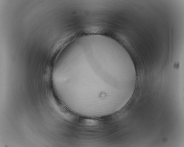 X0000111900167200908171247