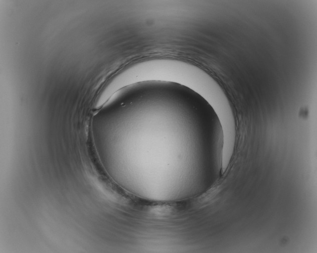 X0000111900168200908171247