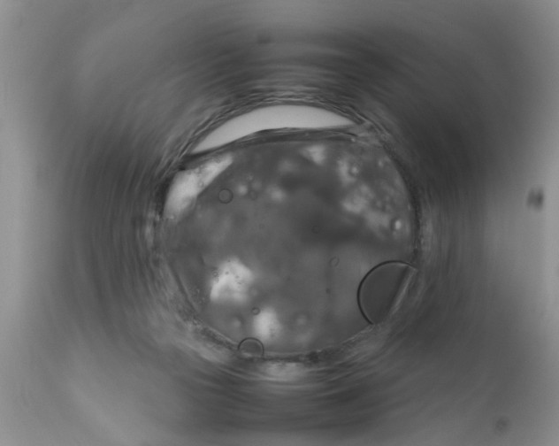 X0000111900169200908171247