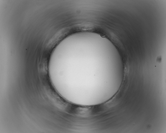 X0000111900170200908171247