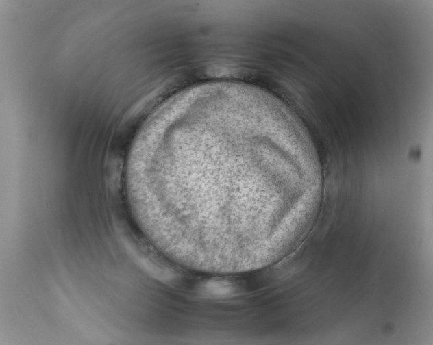 X0000111900171200908171247