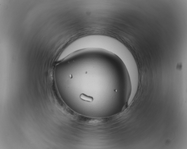 X0000111900172200908171247