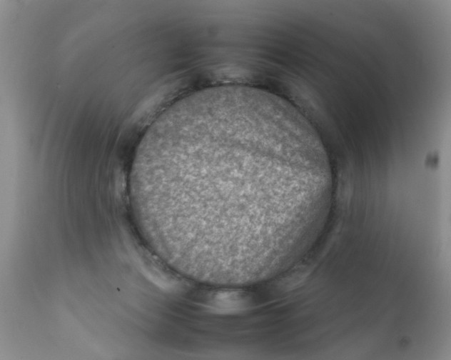 X0000111900173200908171247