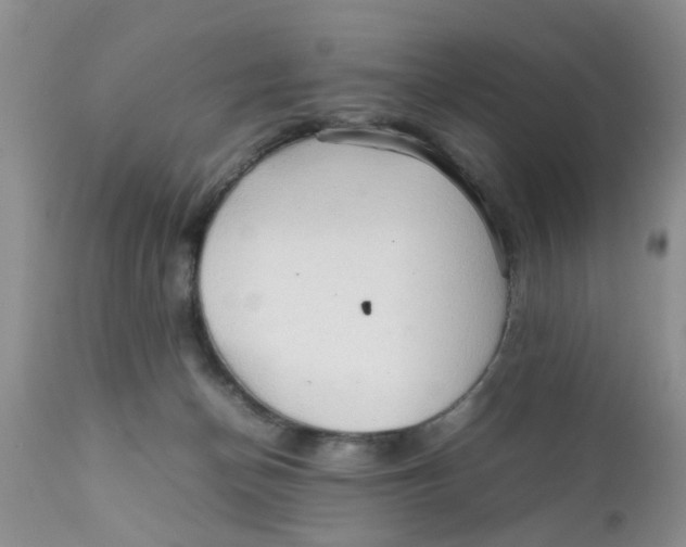 X0000111900174200908171247