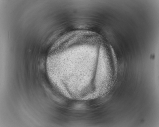 X0000111900175200908171247