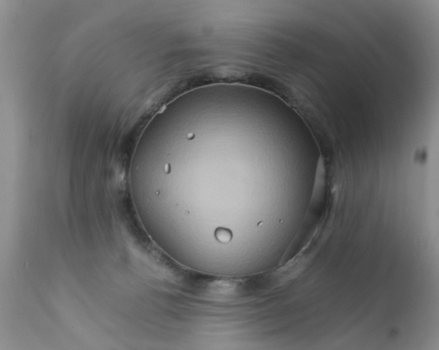 X0000111900176200908171247