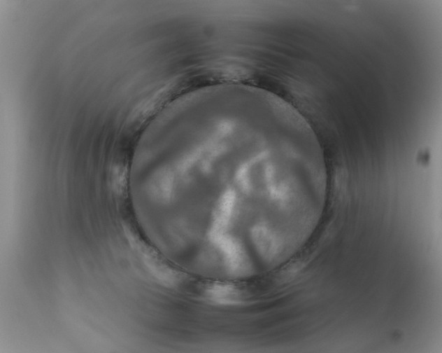 X0000111900177200908171247