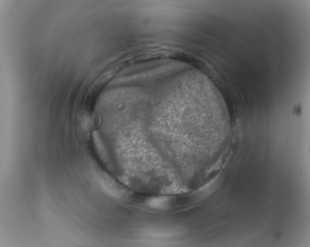 X0000111900178200908171247