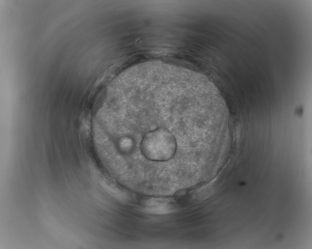 X0000111900179200908171247