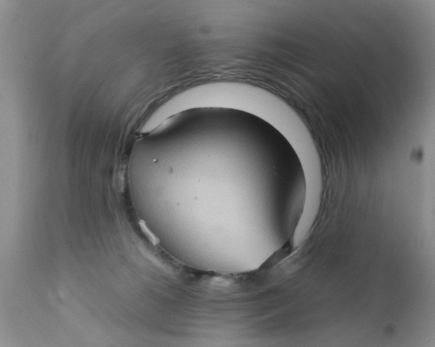 X0000111900180200908171247