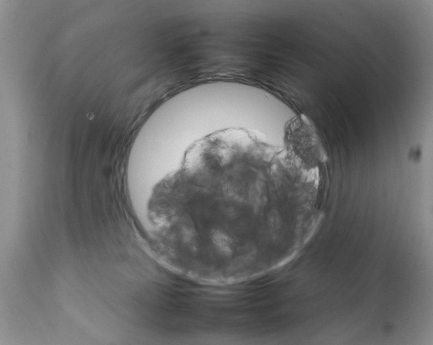 X0000111900181200908171247