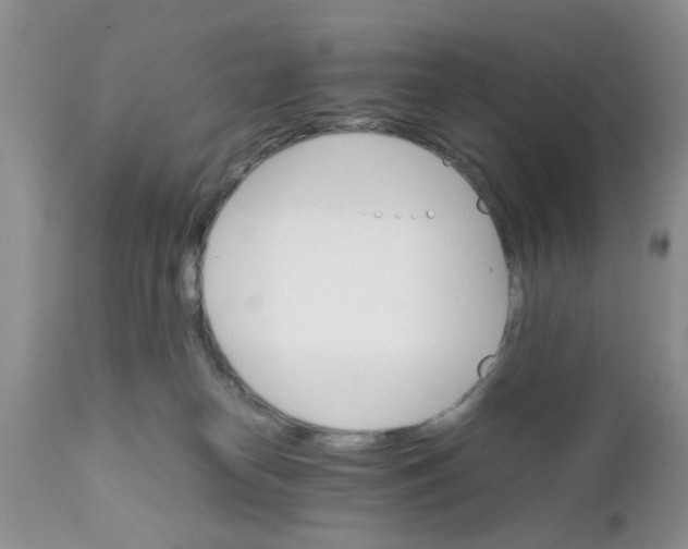 X0000111900182200908171247