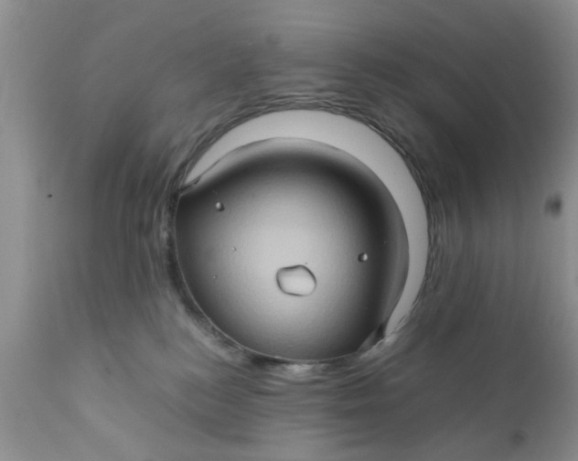 X0000111900184200908171247