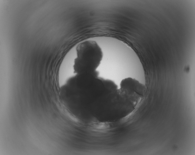 X0000111900187200908171247