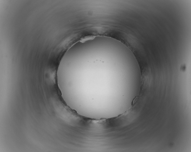 X0000111900188200908171247