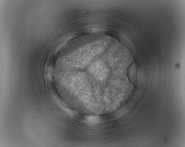 X0000111900189200908171247