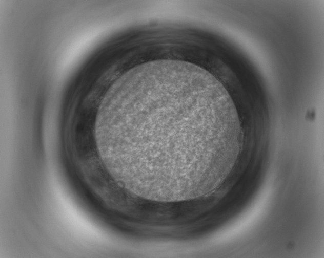 X0000111900191200908171247